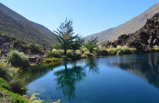 Excursión al valle de Las Leñas - Foto 1