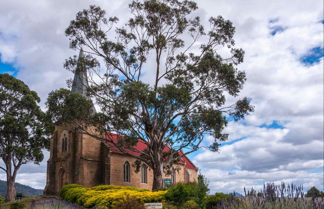 Day Trip to Richmond & Bonorong Wildlife Sanctuary - Photo 3