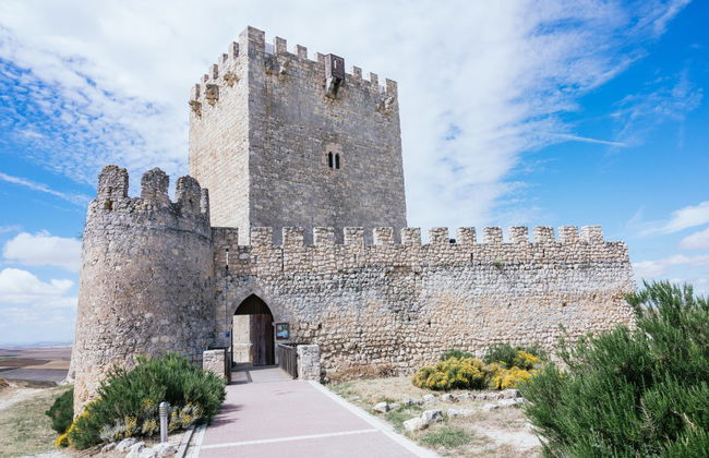 Visita guiada por Tiedra - Foto 1