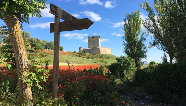 Visita guiada por Tiedra - Foto 3