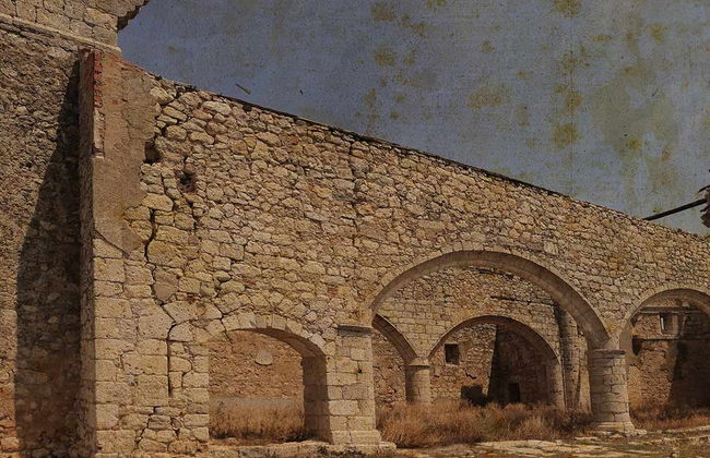 Visita guiada por Tiedra - Foto 7