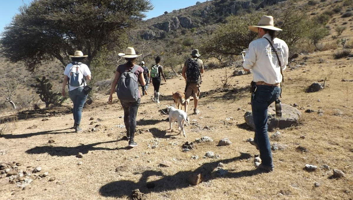 Coyote Canyon Hiking Tour - Photo 1