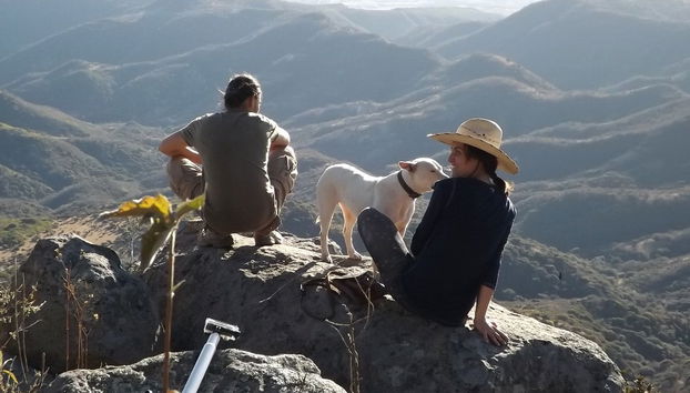 Coyote Canyon Hiking Tour - Photo 2