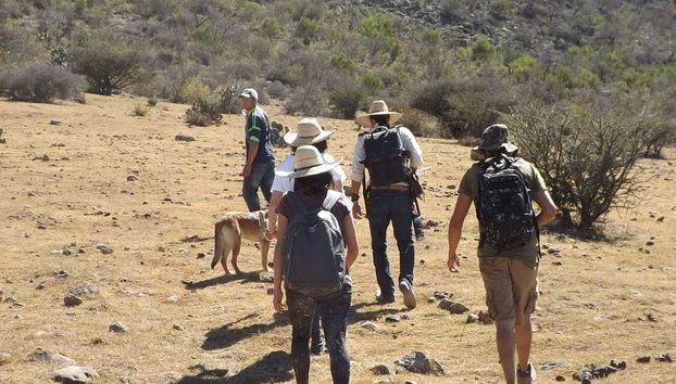 Coyote Canyon Hiking Tour - Photo 4