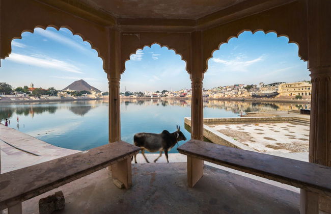 Pushkar and Ajmer Private Day Trip - Photo 1