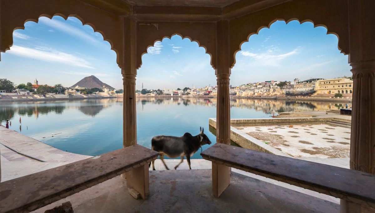 Pushkar and Ajmer Private Day Trip - Photo 1