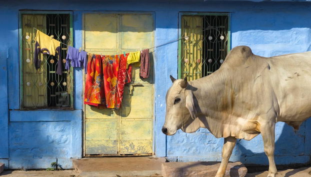 Tour pela Cidade Azul - Foto 4