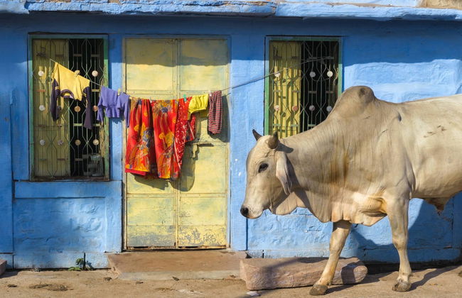 Blue City Walking Tour - Photo 4