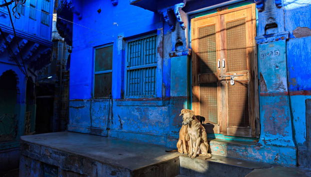 Tour pela Cidade Azul - Foto 5