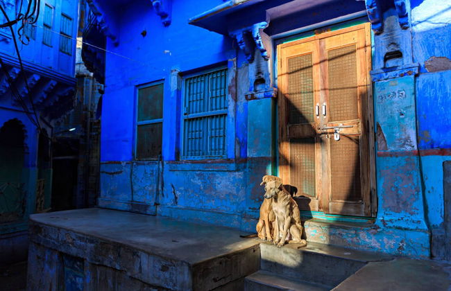 Blue City Walking Tour - Photo 5