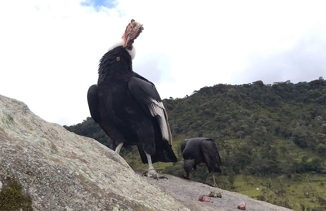 Escursione privata da Popayán - Foto 8
