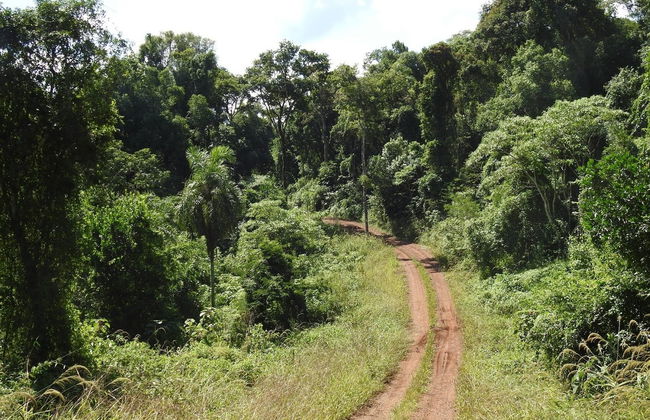 Passeio a cavalo por San Lorenzo - Foto 7