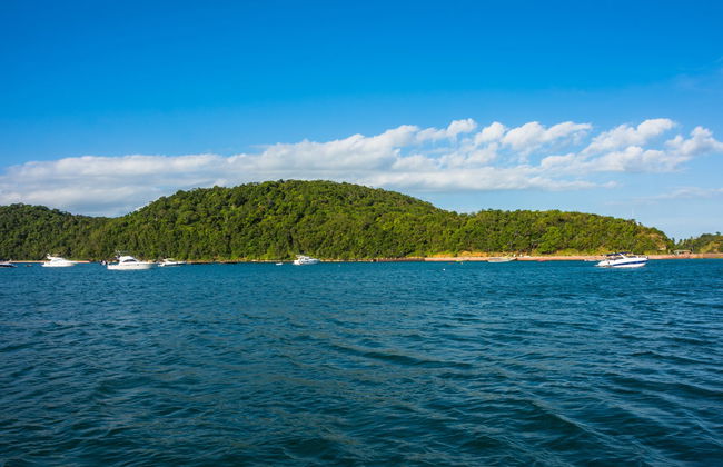 Balade en bateau aux îles de Frades et d'Itaparica - Photo 6