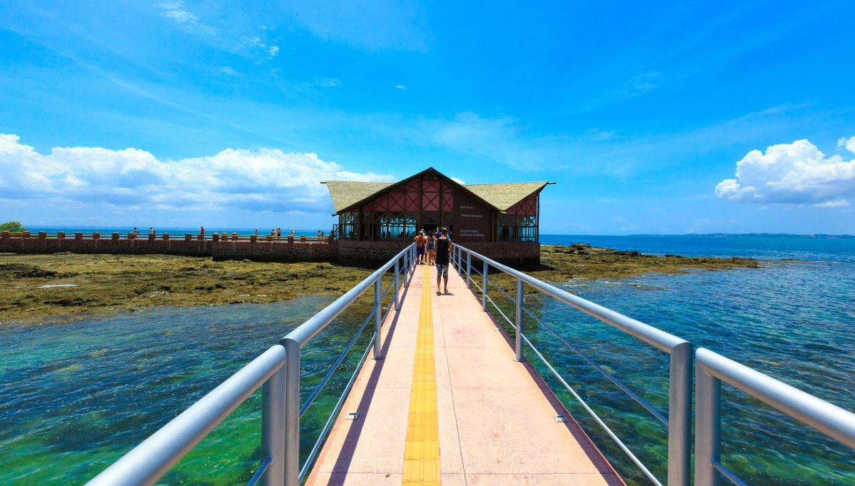 Salvador Islands Trip - Photo 1