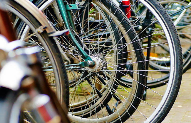 The Hague Bike Tour - Foto 3
