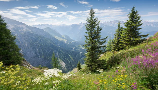 Escursione al Nido dell'Aquila - Foto 5
