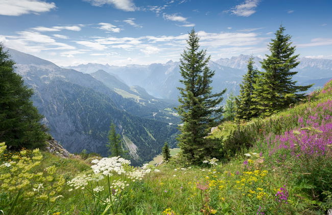 Eagle’s Nest Day Trip - Photo 5