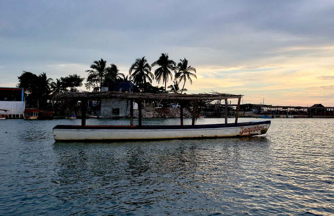 Coyuca Lagoon Sea Turtle Release - Foto 7