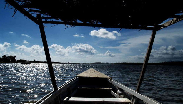 Coyuca Lagoon Sea Turtle Release - Foto 5