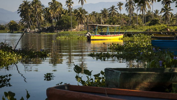 Coyuca Lagoon Sea Turtle Release - Foto 2