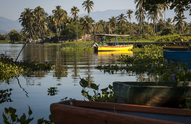 Coyuca Lagoon Sea Turtle Release - Foto 2