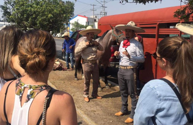 Traditional Mexican Cowboy Show - Foto 5
