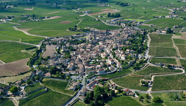 Excursión a Saint-Émilion con visita a la iglesia monolítica + Cata de vinos - Foto 5