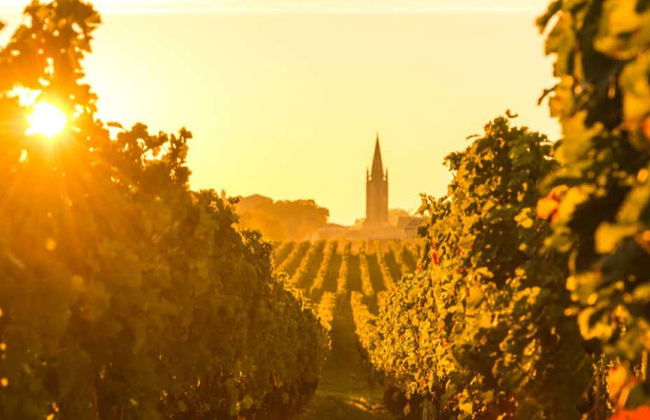 Excursion à Saint-Émilion - Photo 6