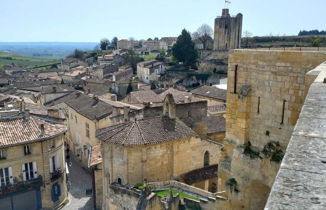 Excursión a Saint-Émilion con visita a la iglesia monolítica + Cata de vinos - Foto 1
