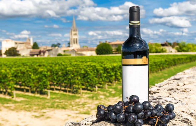 Excursion à Saint-Émilion - Photo 7