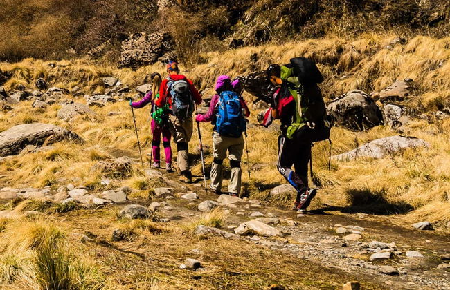 Private Nepal Hiking Day Trip - Photo 2