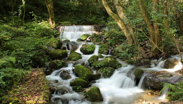 Private Nepal Hiking Day Trip - Foto 3