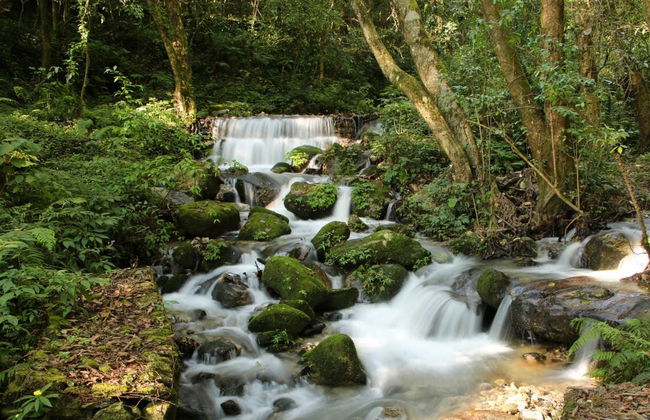 Private Nepal Hiking Day Trip - Photo 3