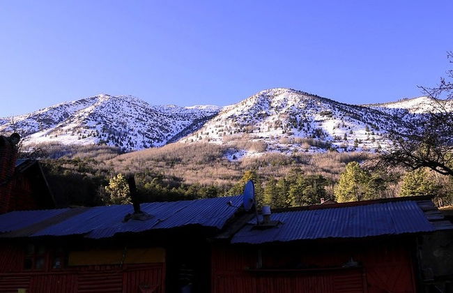 Arteaga Excursion - Photo 5