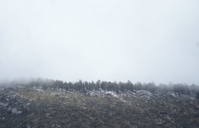 Arteaga Excursion - Photo 7