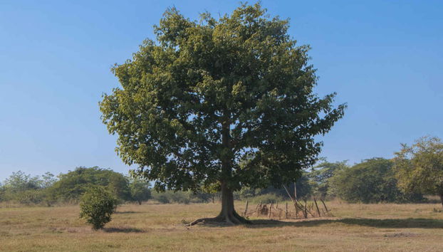 Tamtoc and Taninul Trip - Photo 4