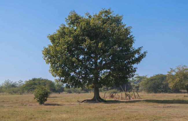 Tamtoc and Taninul Trip - Foto 4