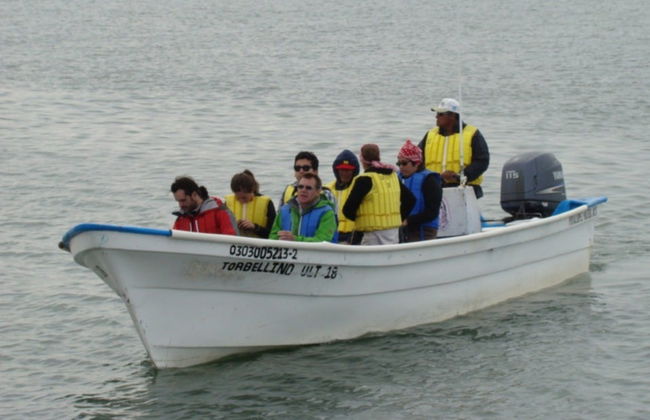 Avistamiento de ballenas en la bahía de Magdalena - Foto 7