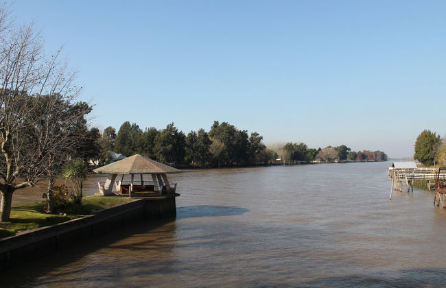 Catamarán por los 6 ríos del delta del Paraná - Foto 5
