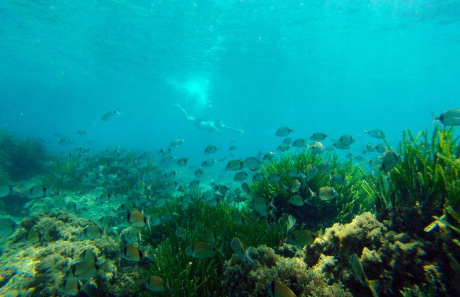 Kayak y snorkel en el Cabo de Gata - Foto 2