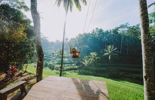 Boat to Gili Islands & Bali - Foto 1