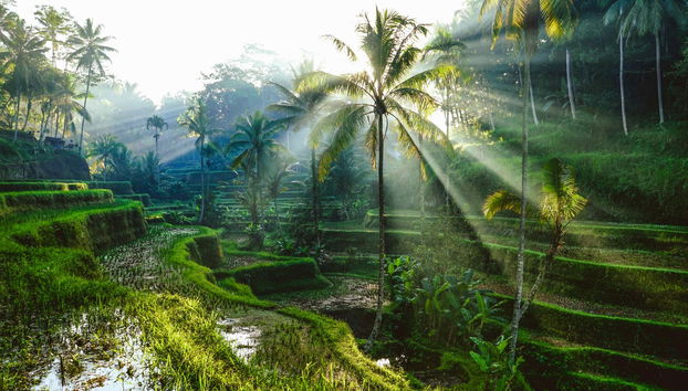 Boat to Gili Islands & Bali - Foto 3