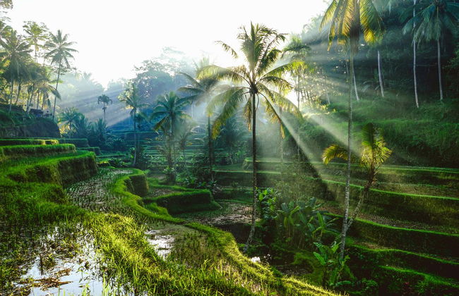 Boat to Gili Islands & Bali - Foto 6