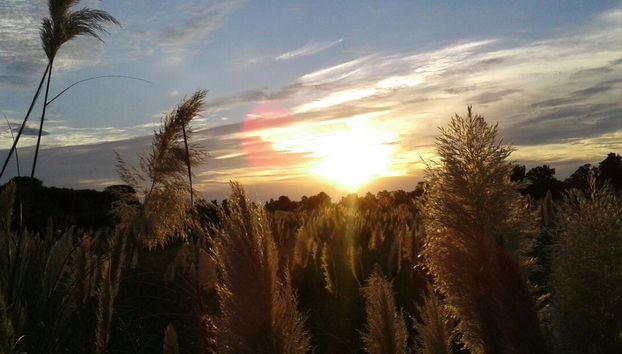 Tour por la estancia ecológica de La Macarena - Foto 5