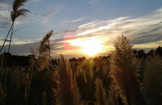 Tour por la estancia ecológica de La Macarena - Foto 5
