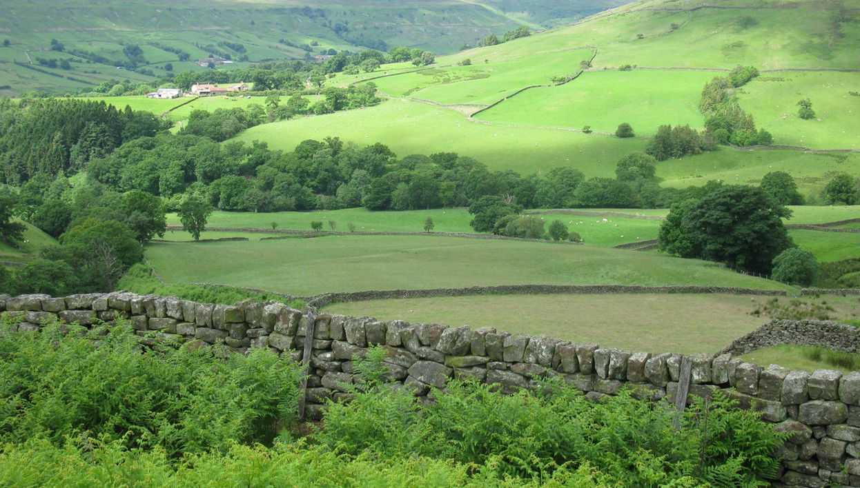 Yorkshire Dales National Park Day Trip - Foto 1