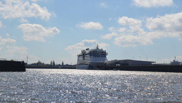 Autobús turístico + Paseo en barco - Foto 2