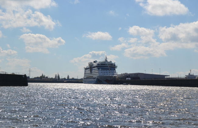 Hamburg Bus & Boat Tour - Photo 2