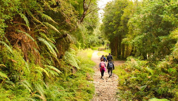 Private Tours from Puerto Varas - Photo 3