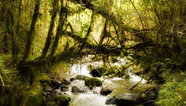 Private Tours from Puerto Varas - Photo 4